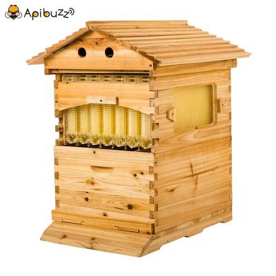 7-Frame Chinese Automatic Honey Bee Flow Hive Set 