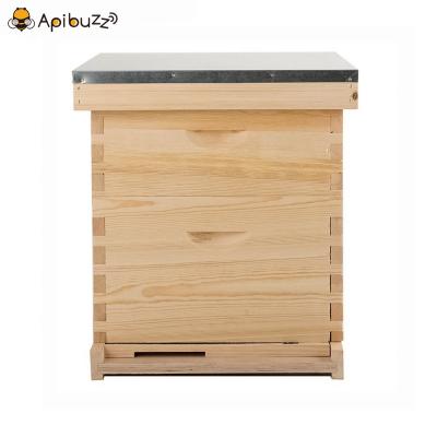 2-Layer 10-Frame Dadant Wooden Bee Hive