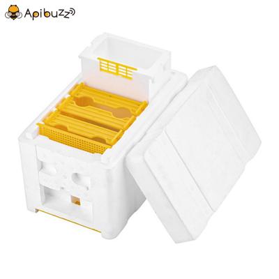 EPS Foam Queen Bee Mini Mating Nucs 