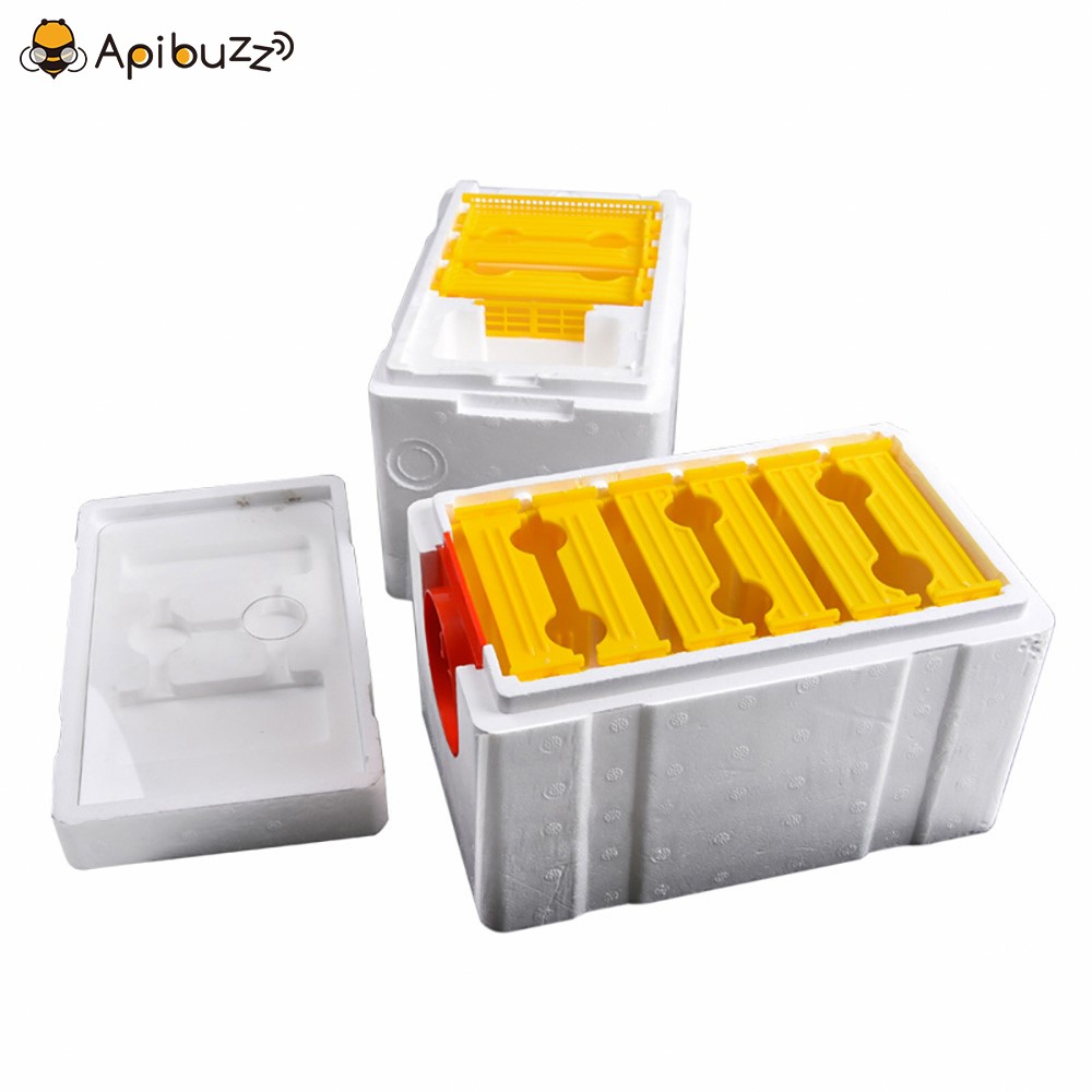 Auto Beekeeping Queen Rearing Box Supplies Beehive Foam Double layer Tool 