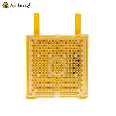 Jenter Queen Bee Rearing Starter Kits