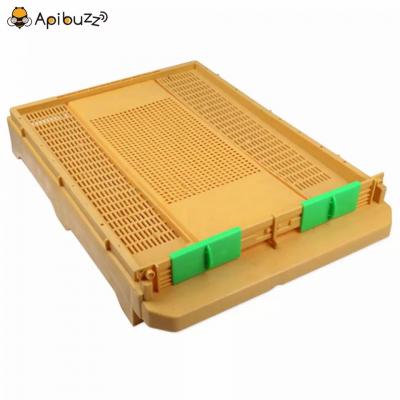 Plastic Ventilated Bottom Board for Bee Hive Apiculture Equipment Beekeeping Beehive Tool Supplies