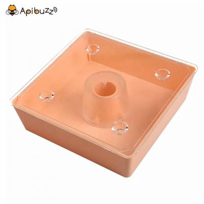 1.6L Plastic Square Top Hive Bee Water Feeder Beekeeping Feeding Apiculture Equipment Tool Supplies Apicultura Imkerei